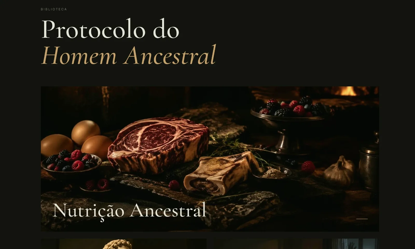 Área de membros: Biblioteca